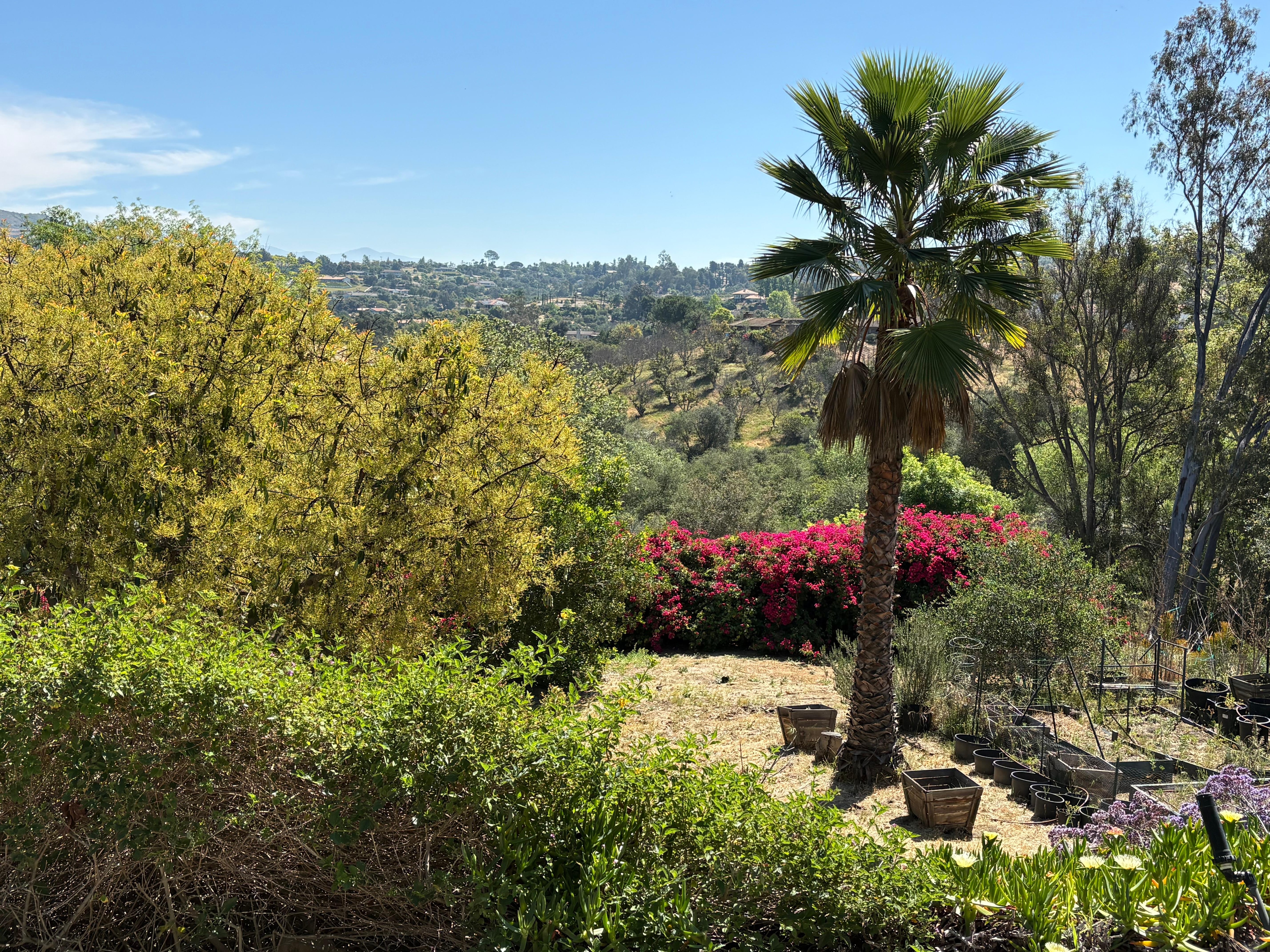 View to the left of the patio