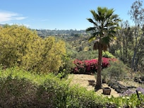 View to the left of the patio
