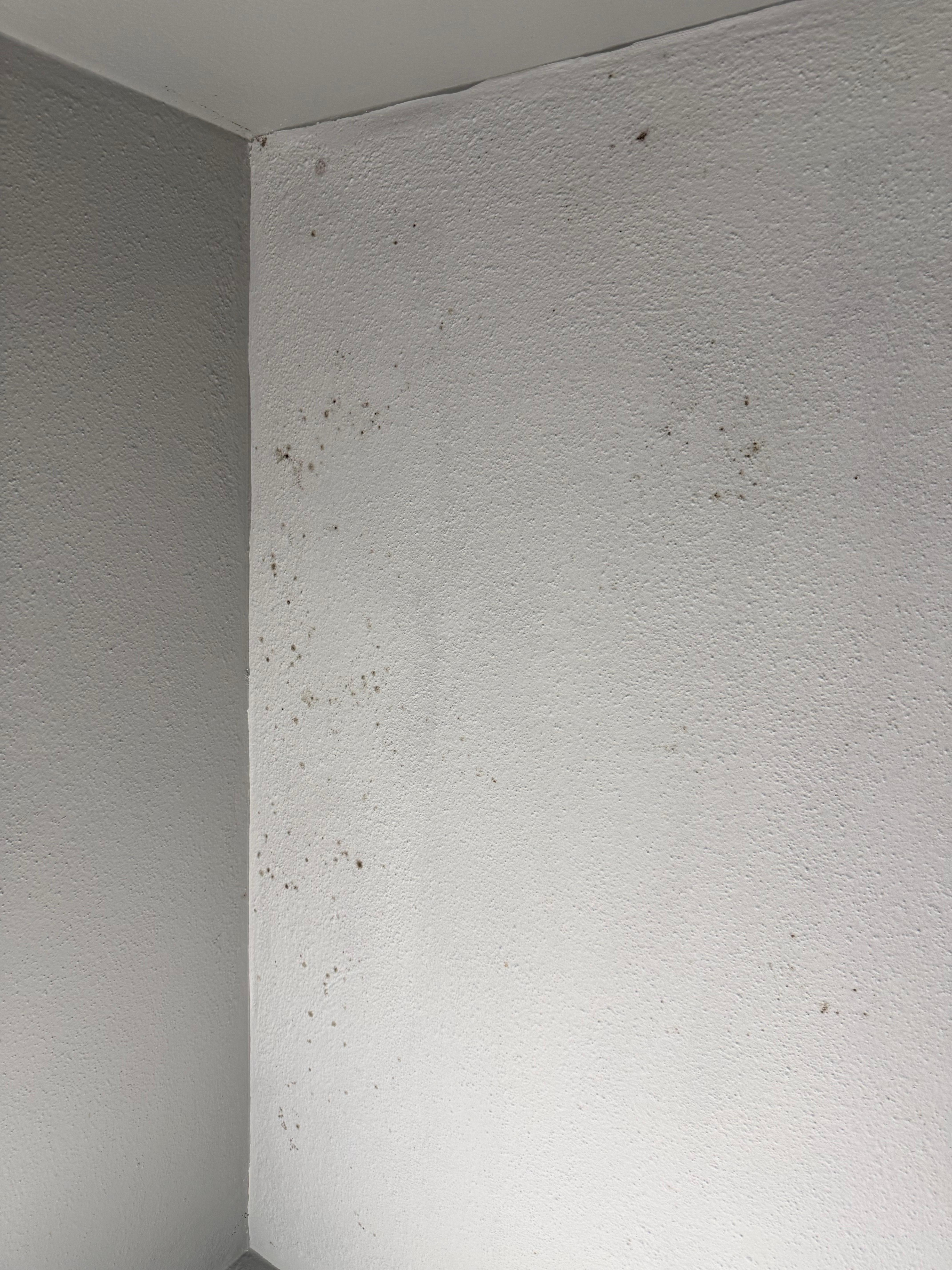 More mold. Roaches run to quick to snap a picture 