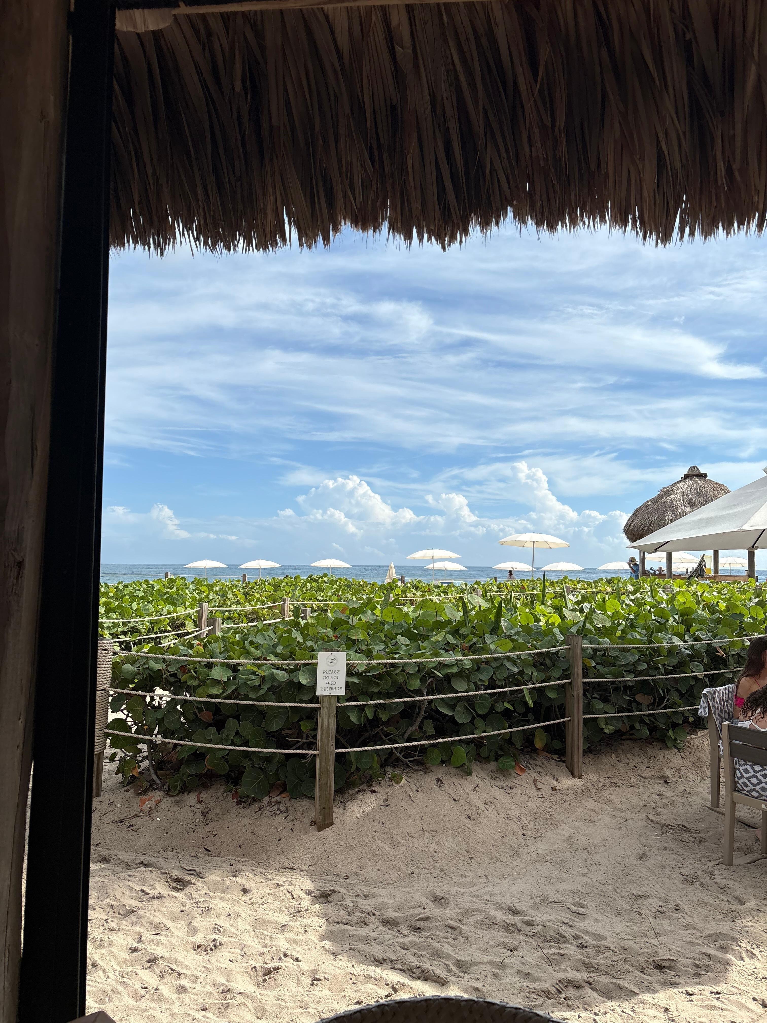 Dining view. Sometimes live music!