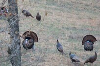 I enjoyed coffee on the porch/deck with some of the locals early in the mornings.