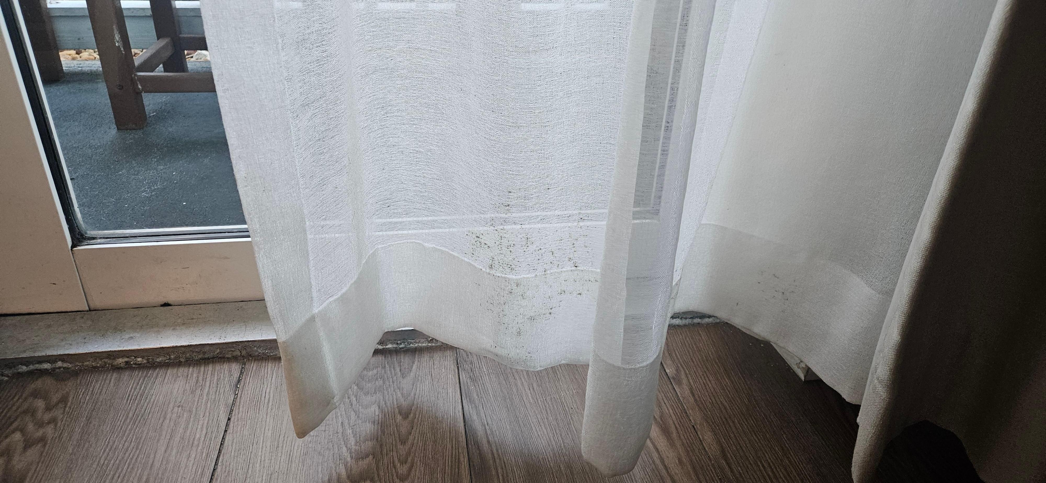 room 103 mold on curtains and the smell of mold was overwhelming 