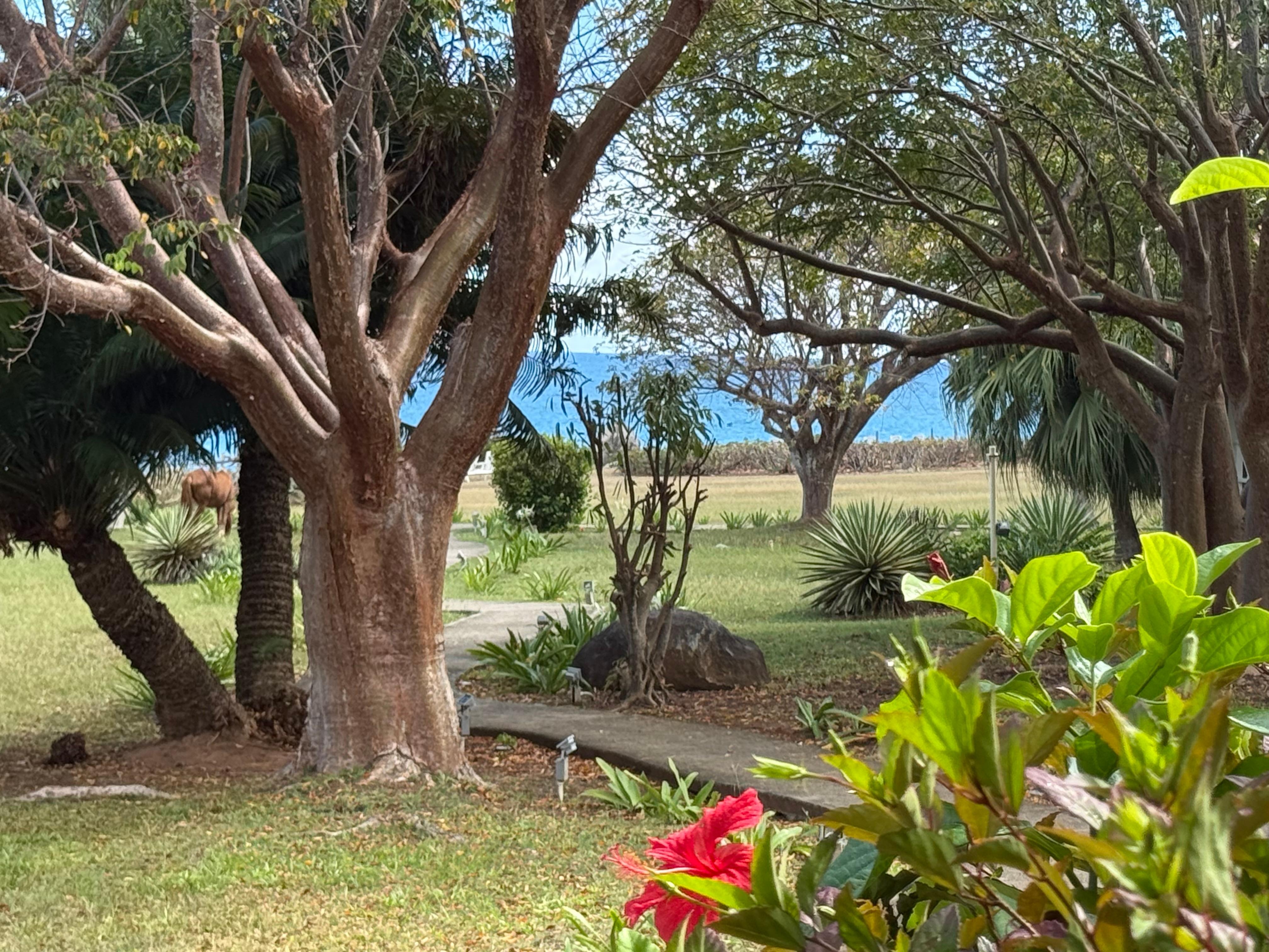 Property looking out of room. 