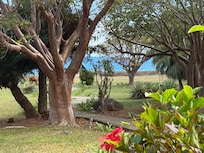 Property looking out of room.