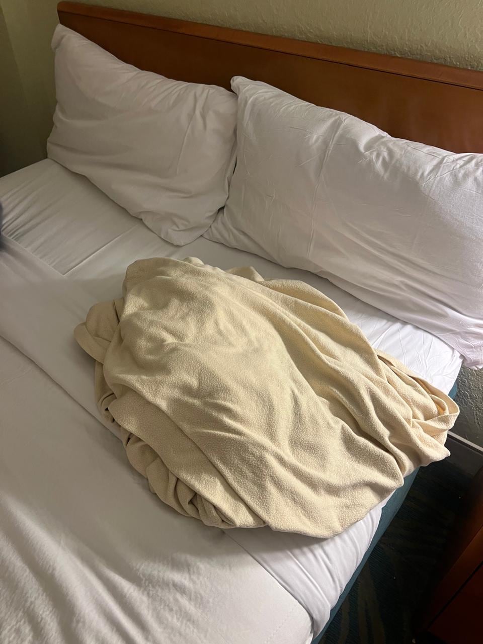 Uno de los días que realizaron la limpieza lo dejaron así toto tirado 