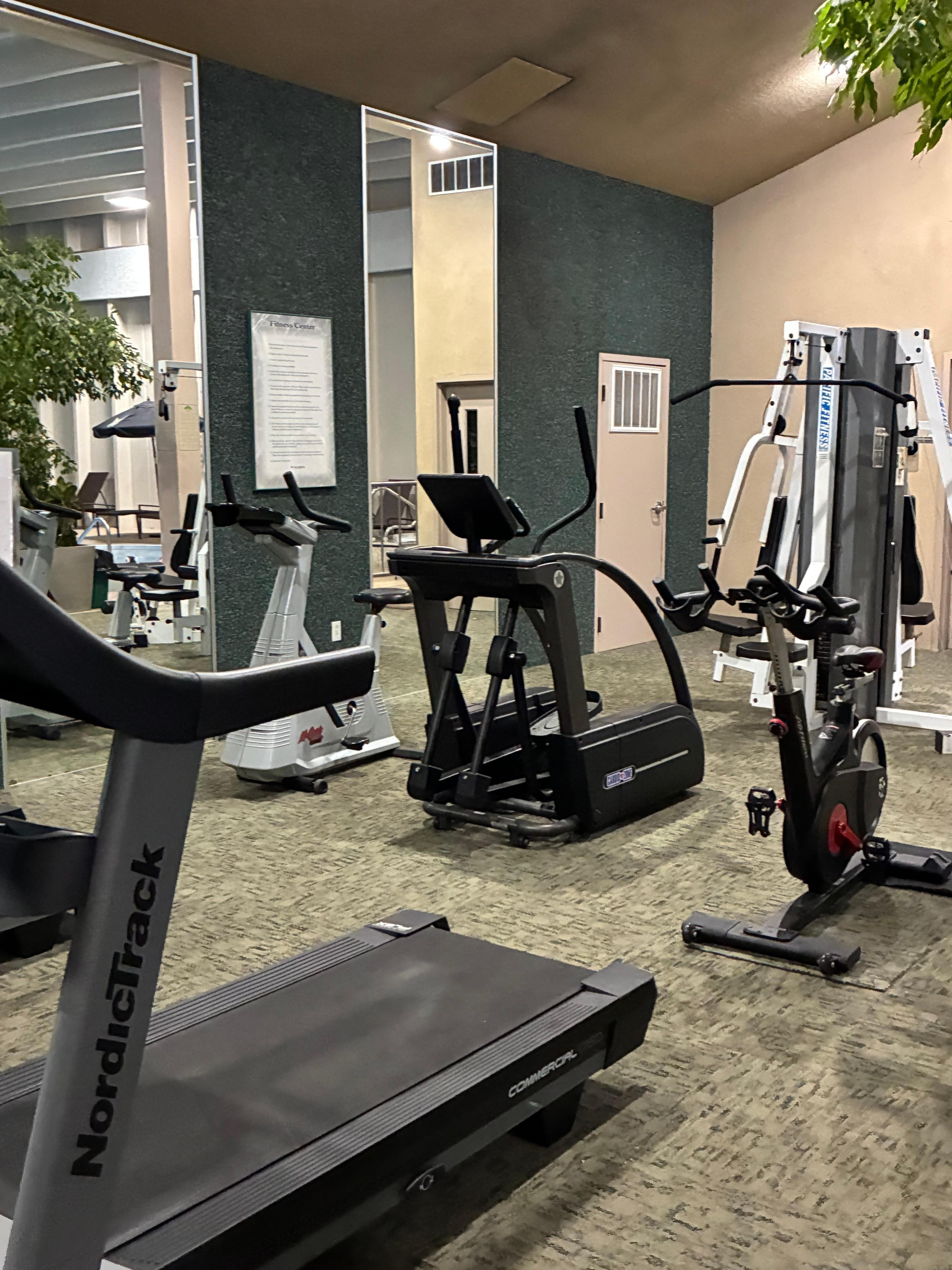 The workout area is in an open space next to the pool with plants to separate the space. 
