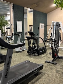 The workout area is in an open space next to the pool with plants to separate the space.