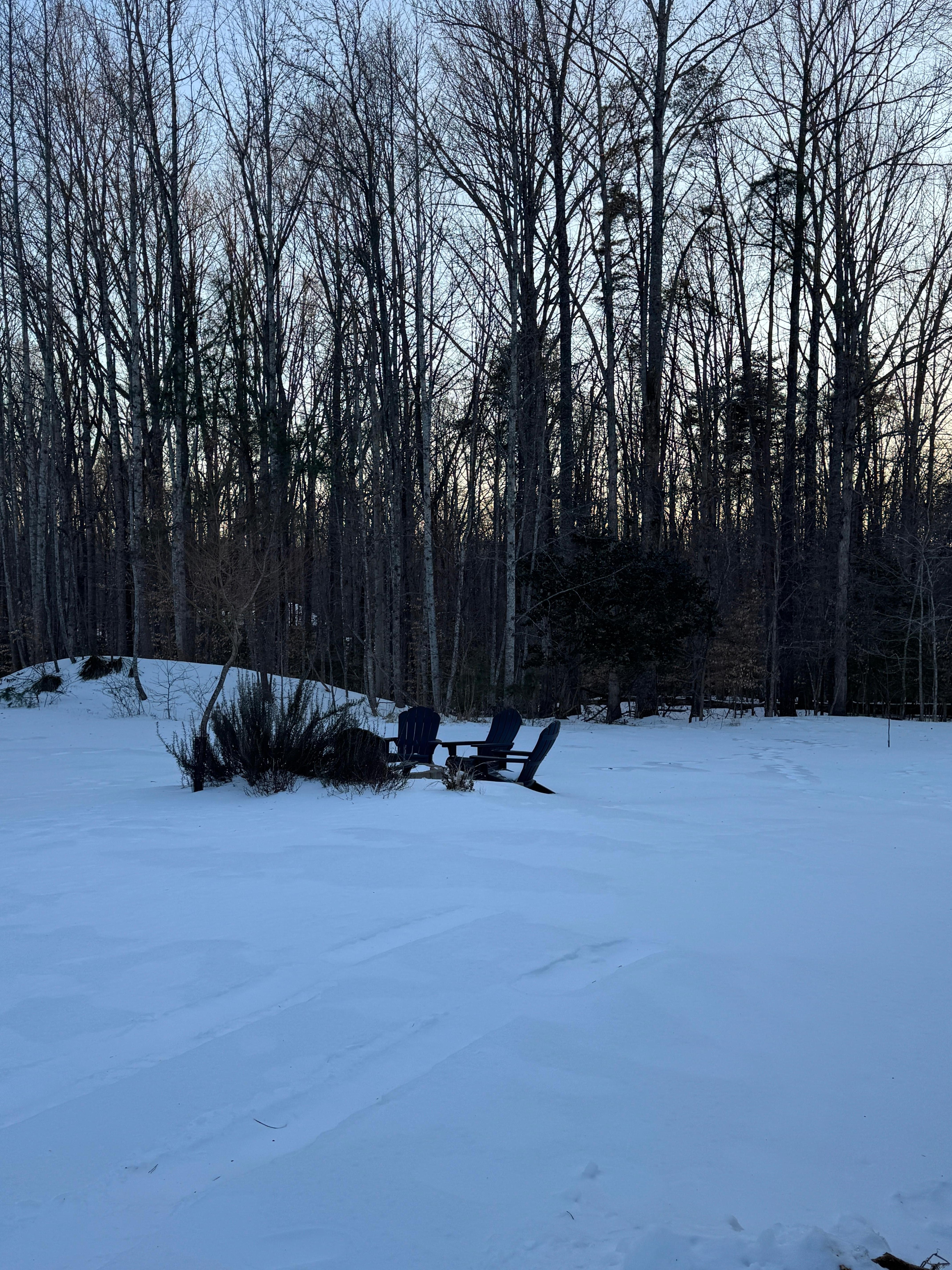 Side yard with fire pit.