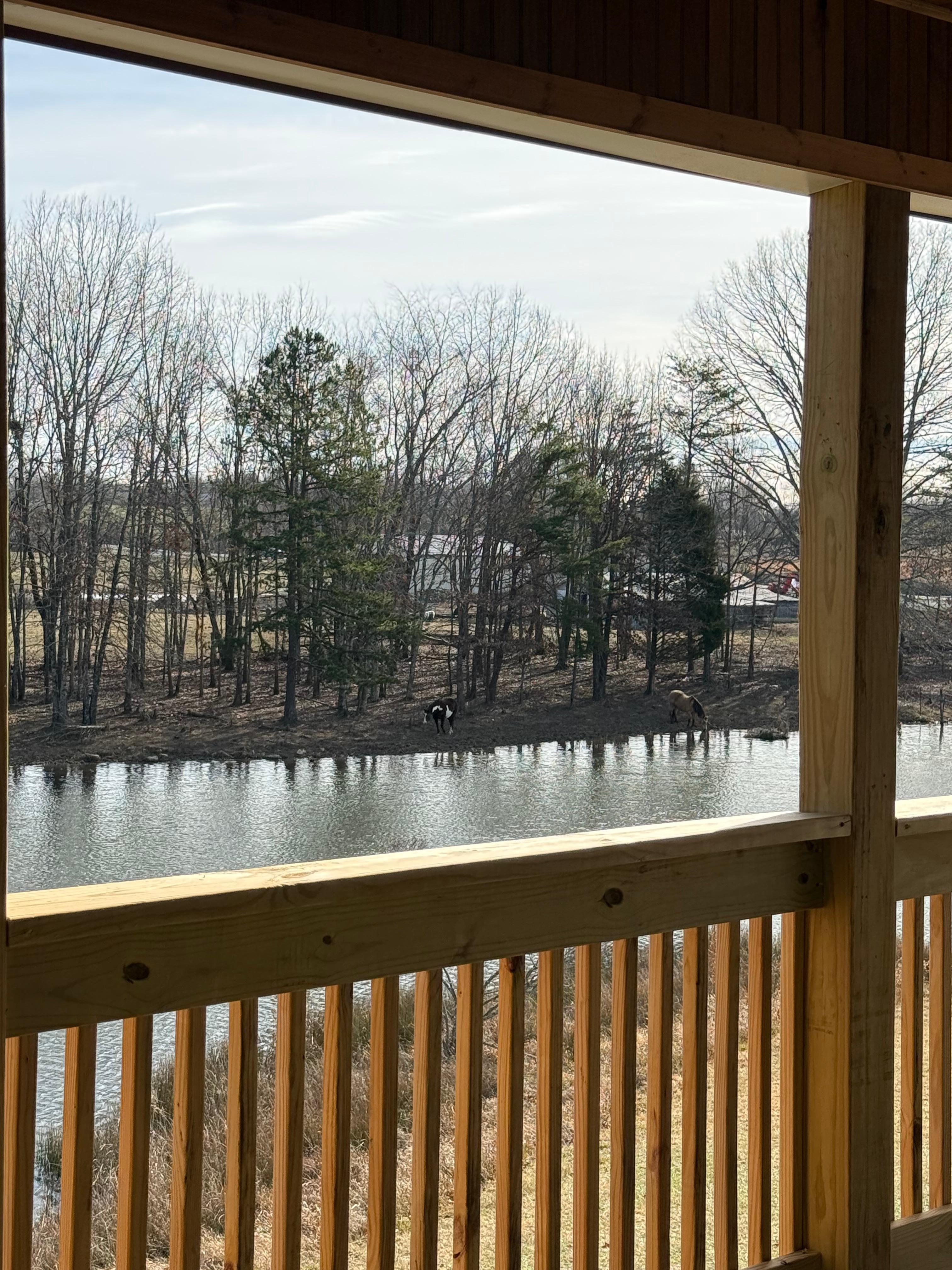 Back porch view before the snow!