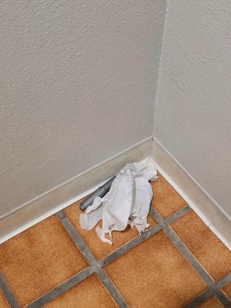 Trash and toilet paper roll that was behind the bathroom door