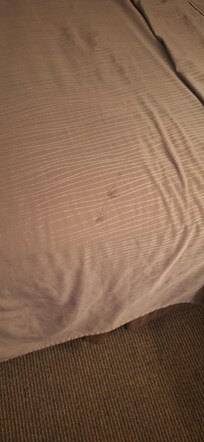 Stains on all the linens, towels stained black