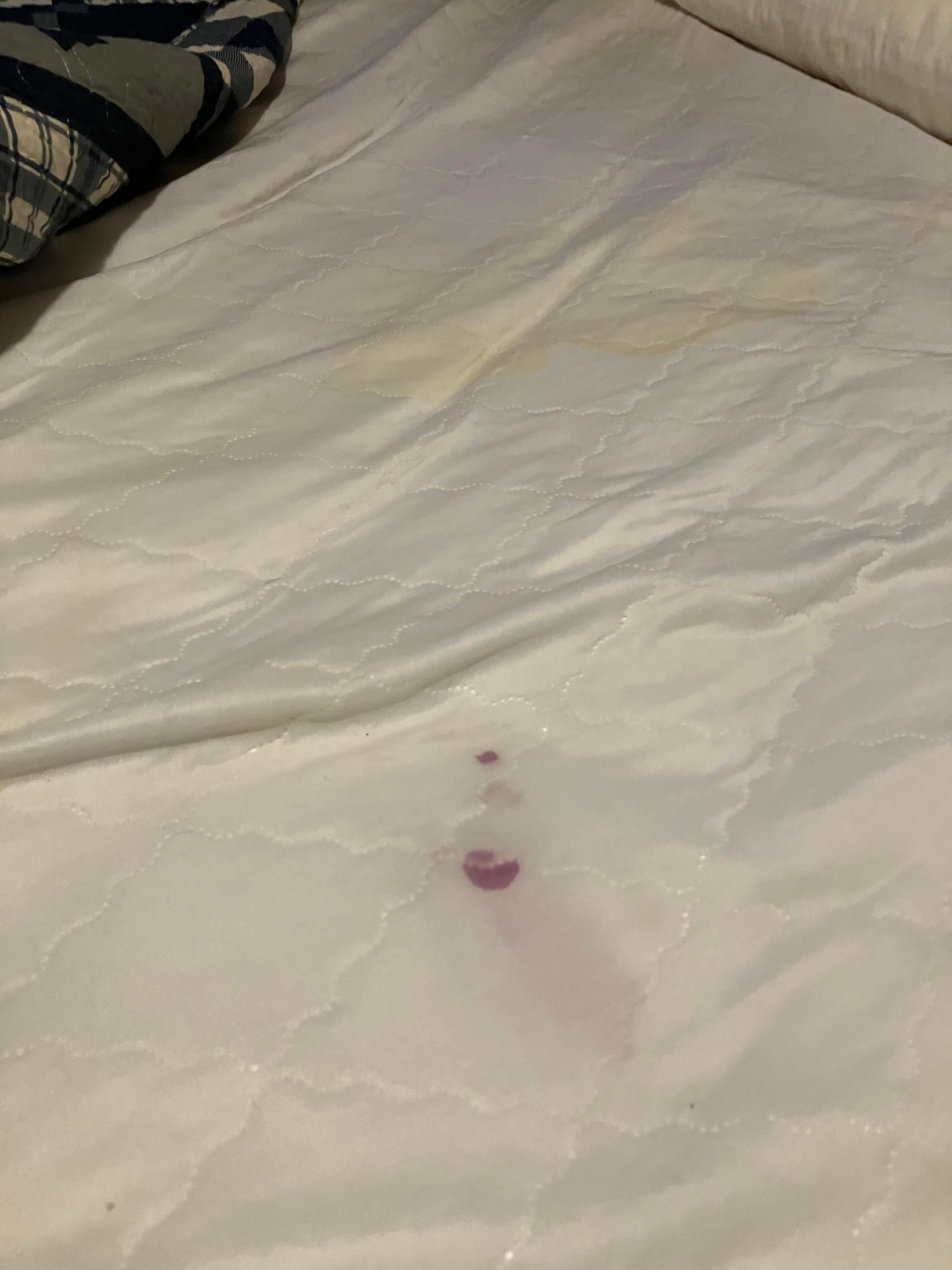 mattress linner sheet