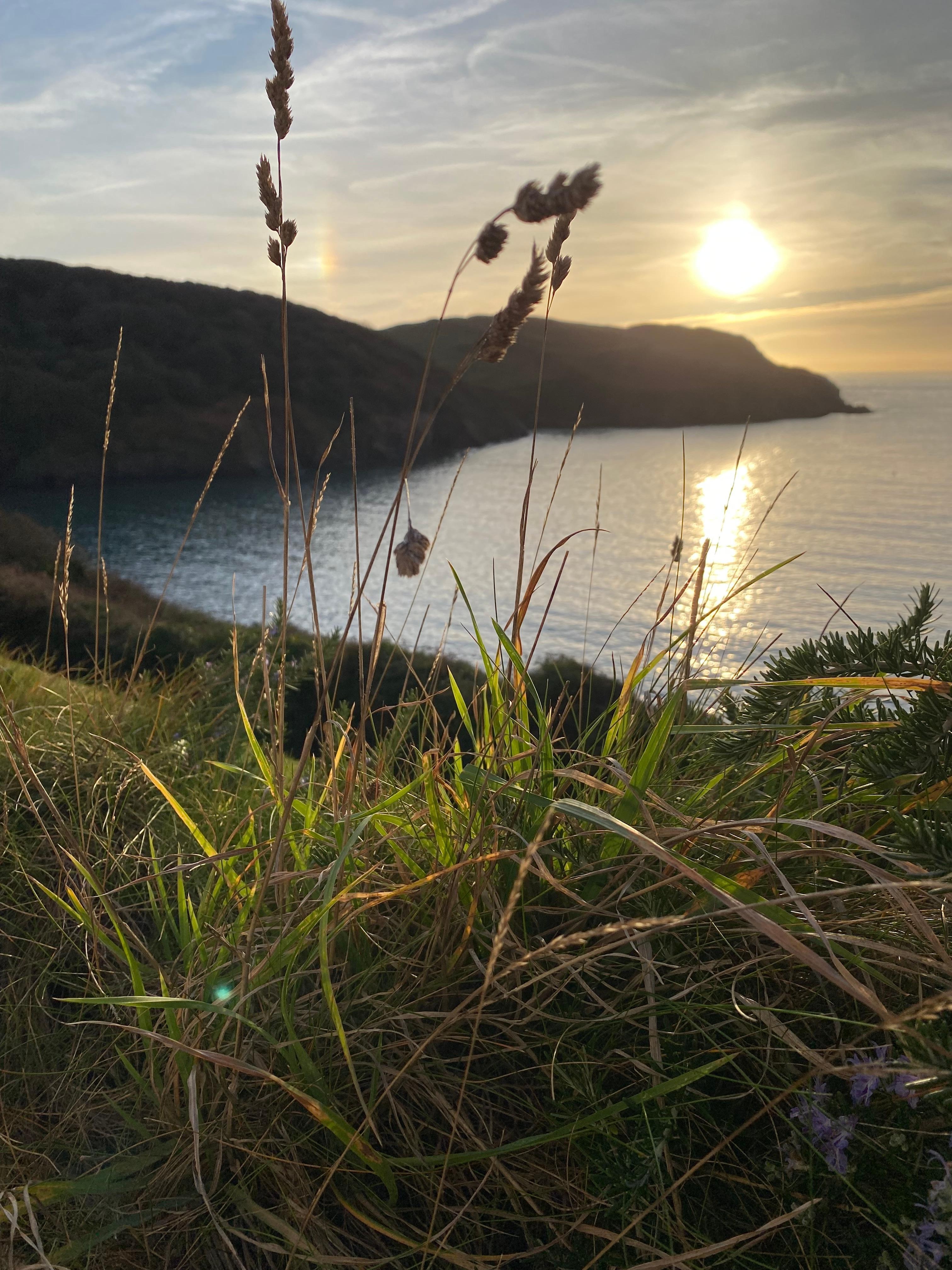 Sunset over the cove