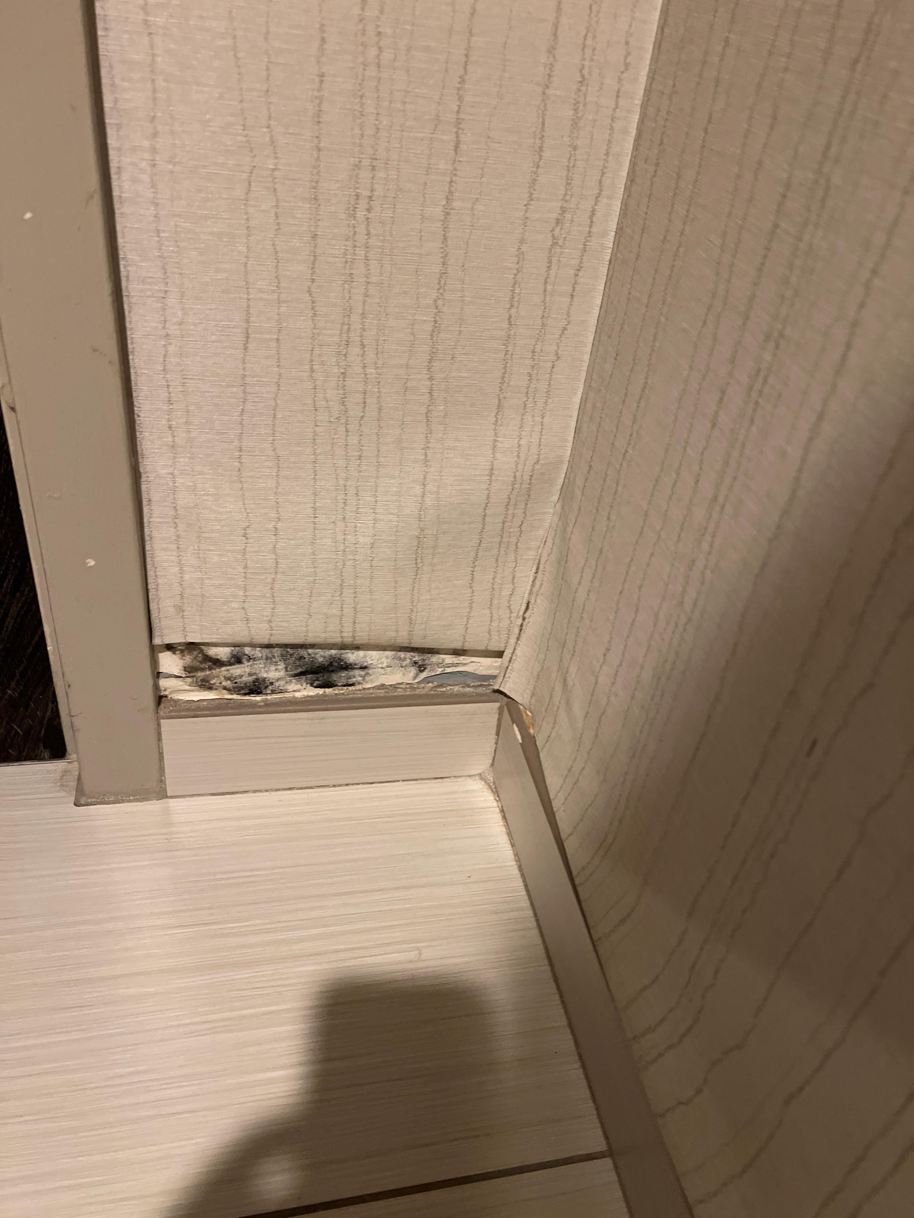 Mildew in bathroom 