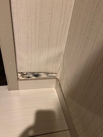 Mildew in bathroom