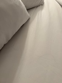 Hairs on the bed. The rooms stink so bad. Cigarettes on the floor