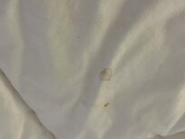 bedding