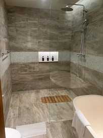 Shower in chalet room