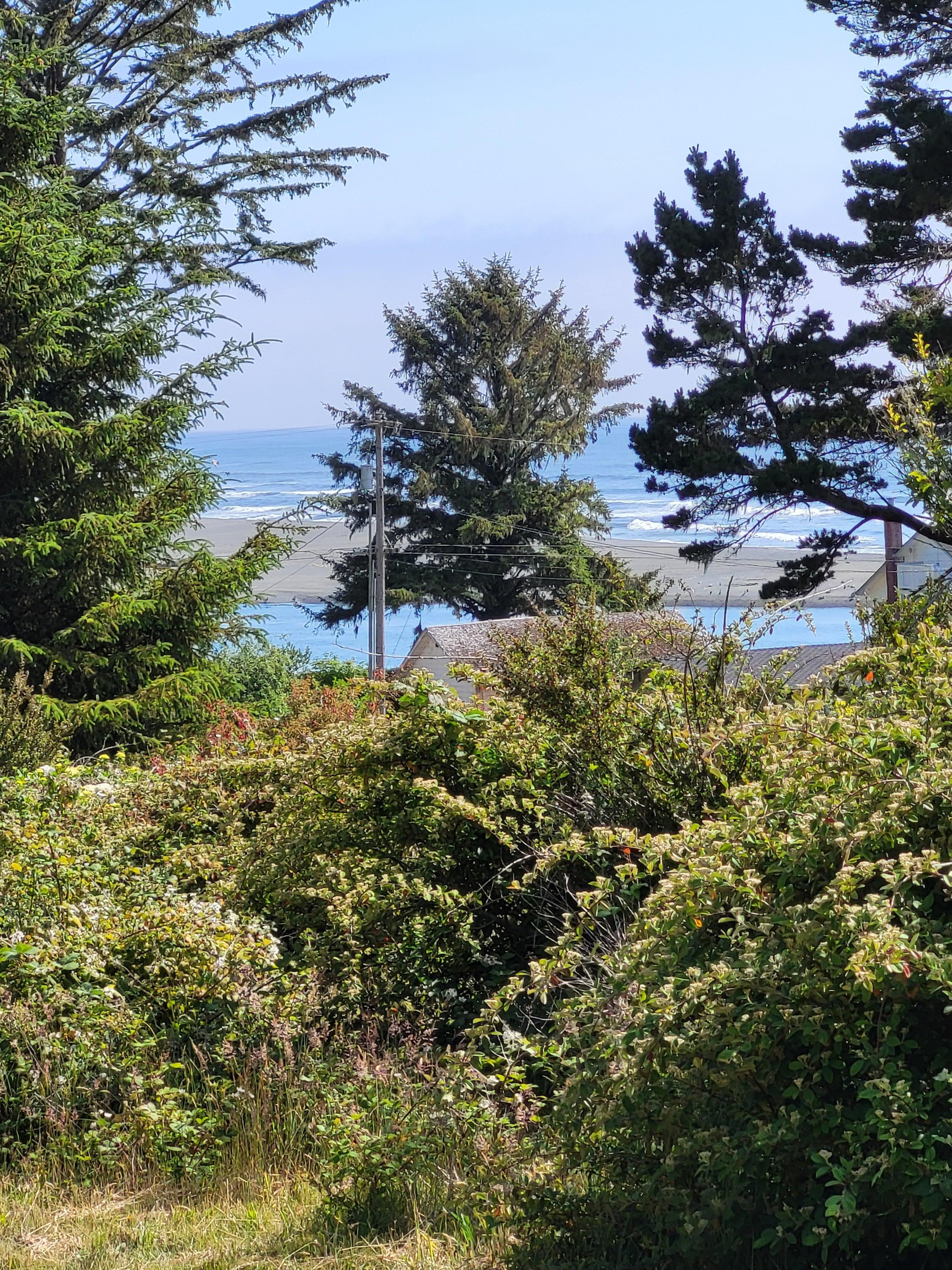 Ocean view from yard.