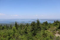View from the top of Acadia National Park