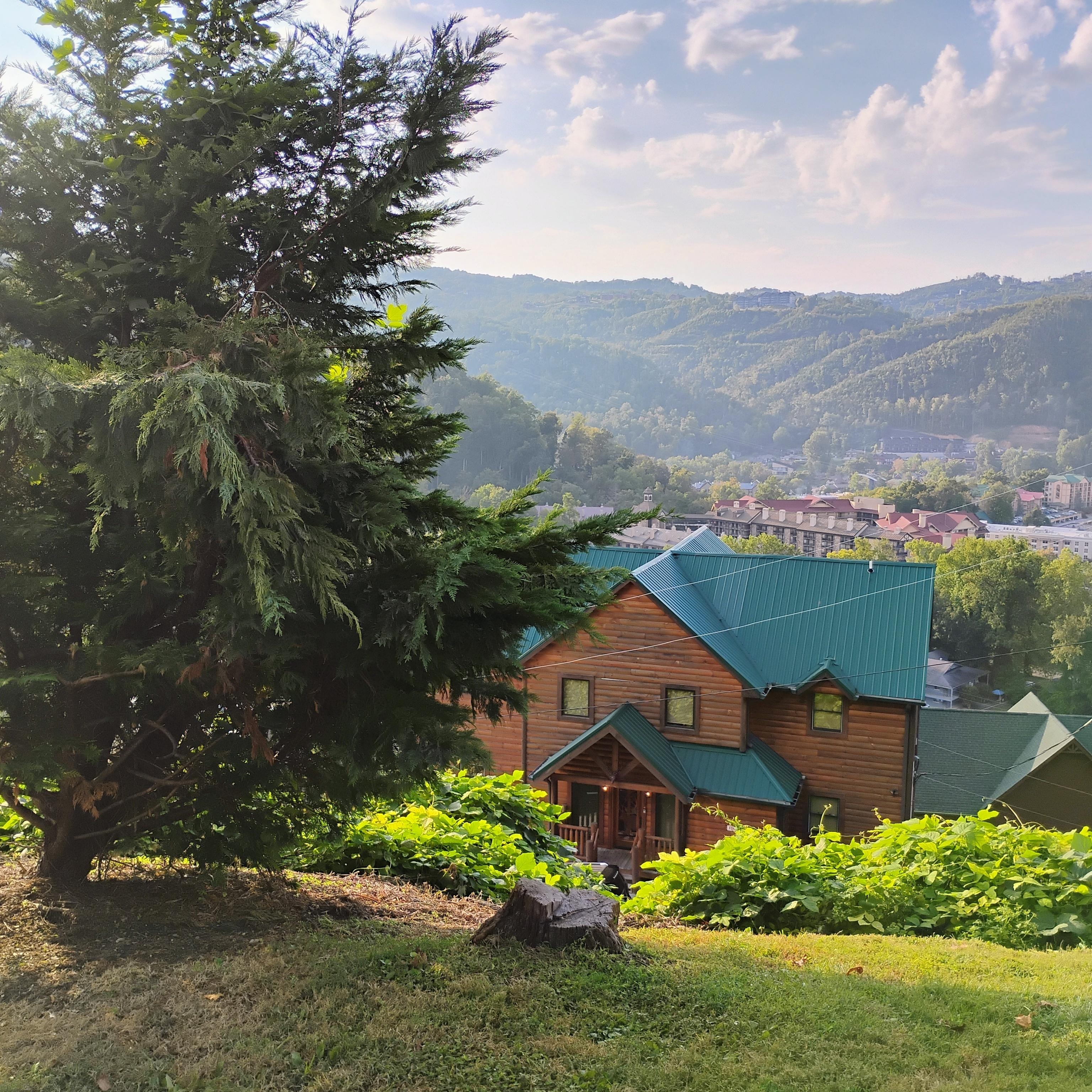 A view from the hotel grounds 😍