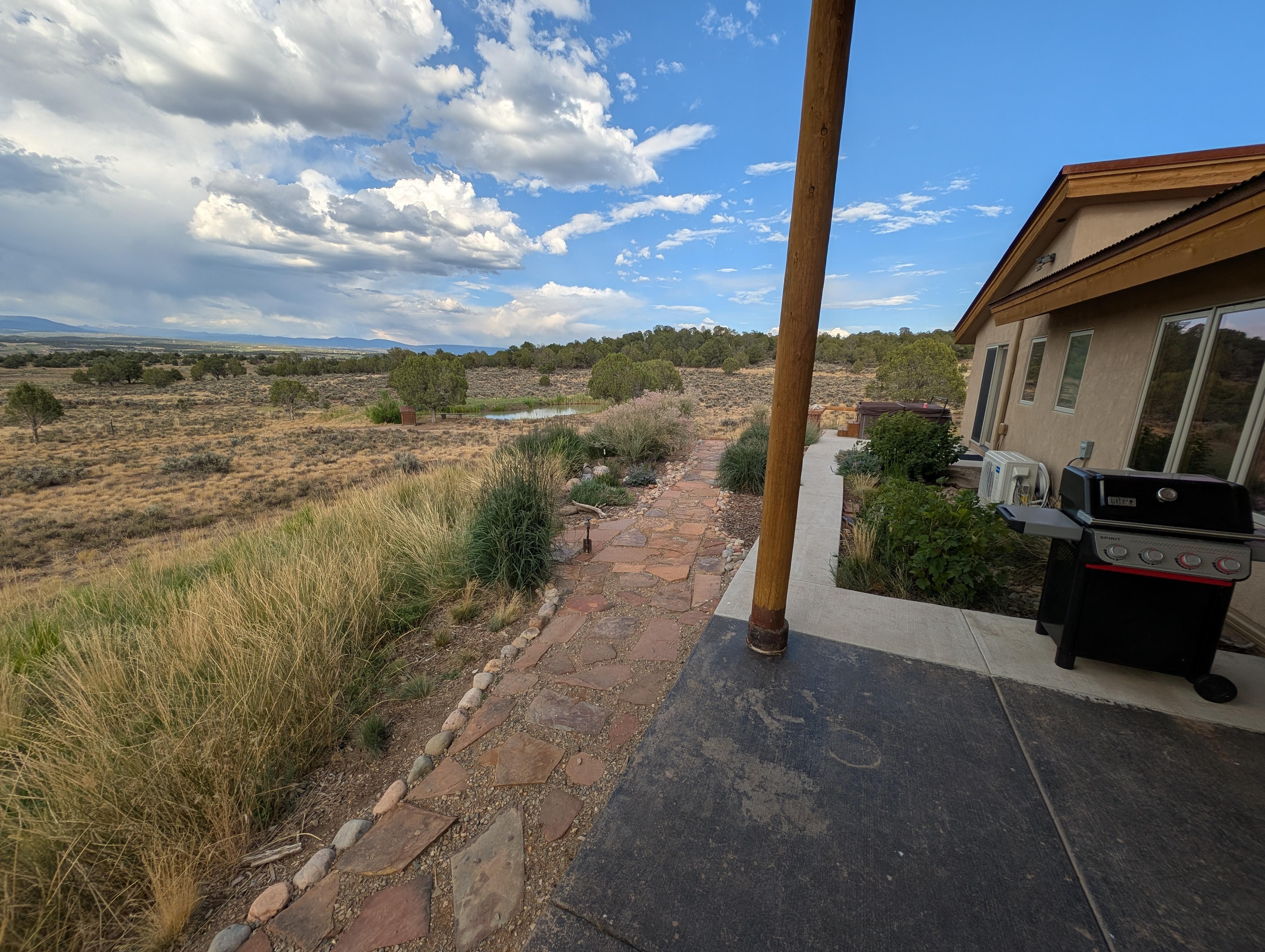 Humming birds were a constant