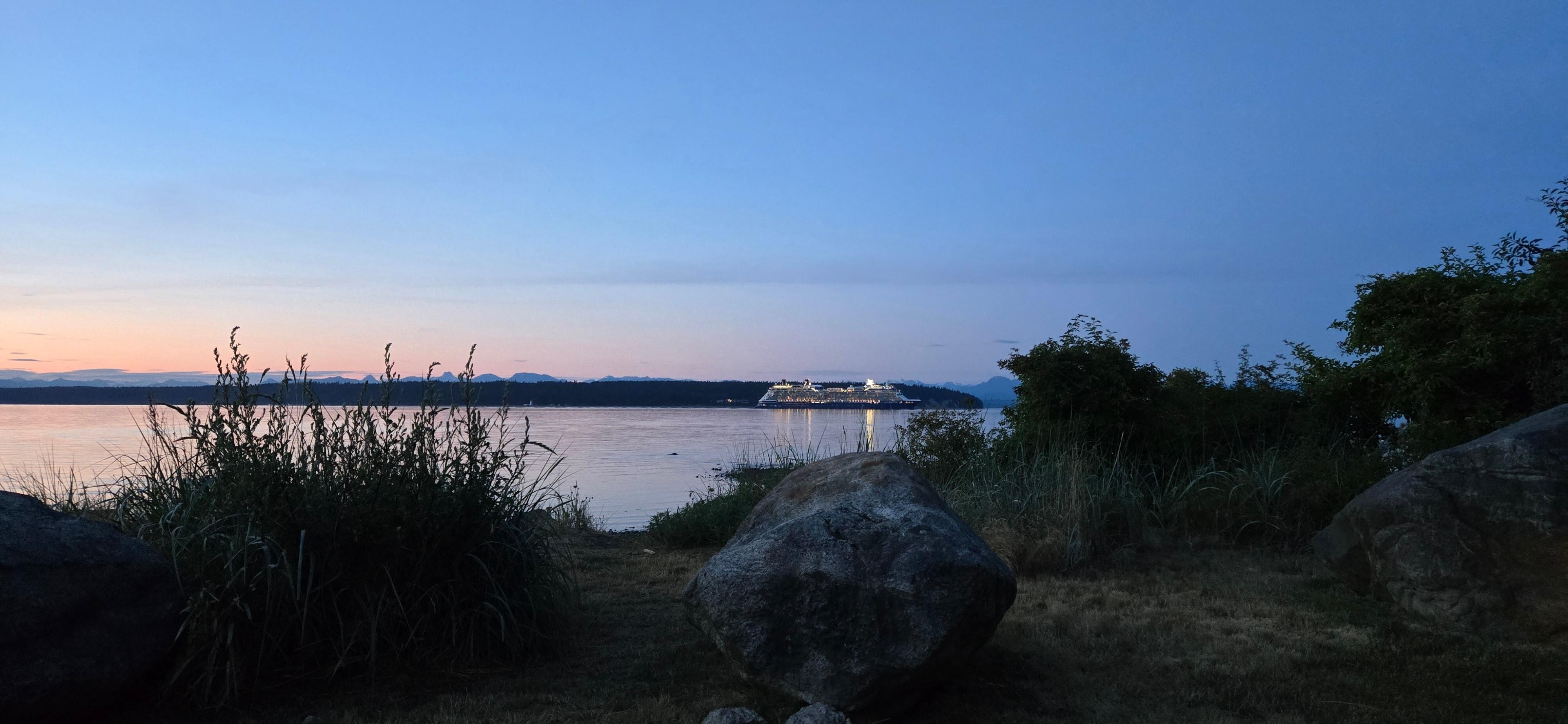a cruise ship going through the narrows taken from Heron's Landing
