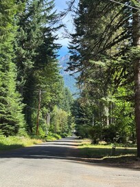 Took a walk down the street, the view up the road, beautiful!