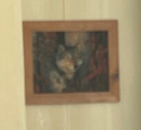 I took a picture of the wolf because my maiden name is Wolfe (I thought it was fate to stay there!)