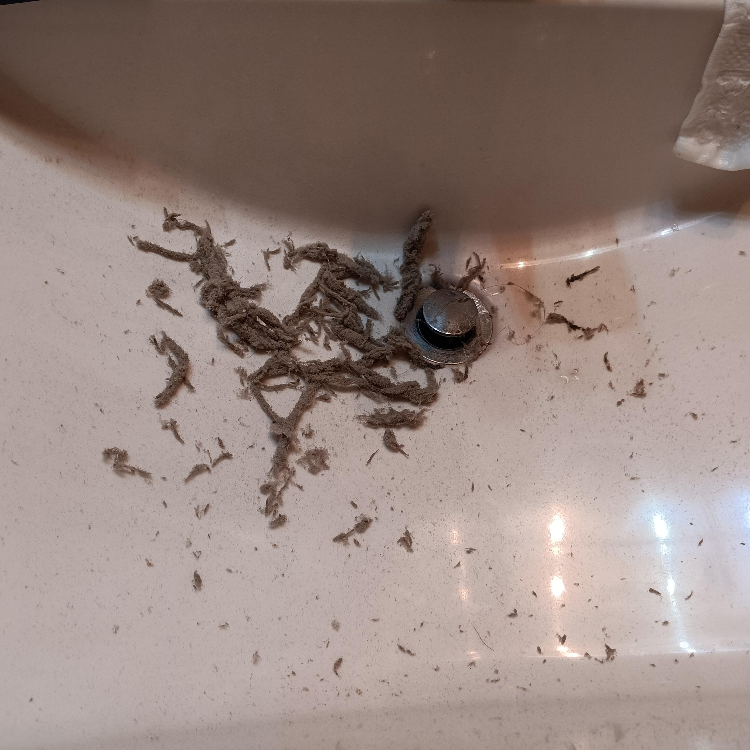 Dirt from the air filters that I cleaned from the bedroom unit