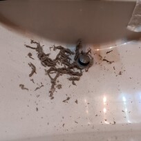 Dirt from the air filters that I cleaned from the bedroom unit