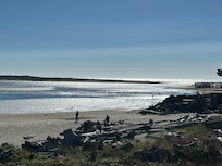 View at low tide