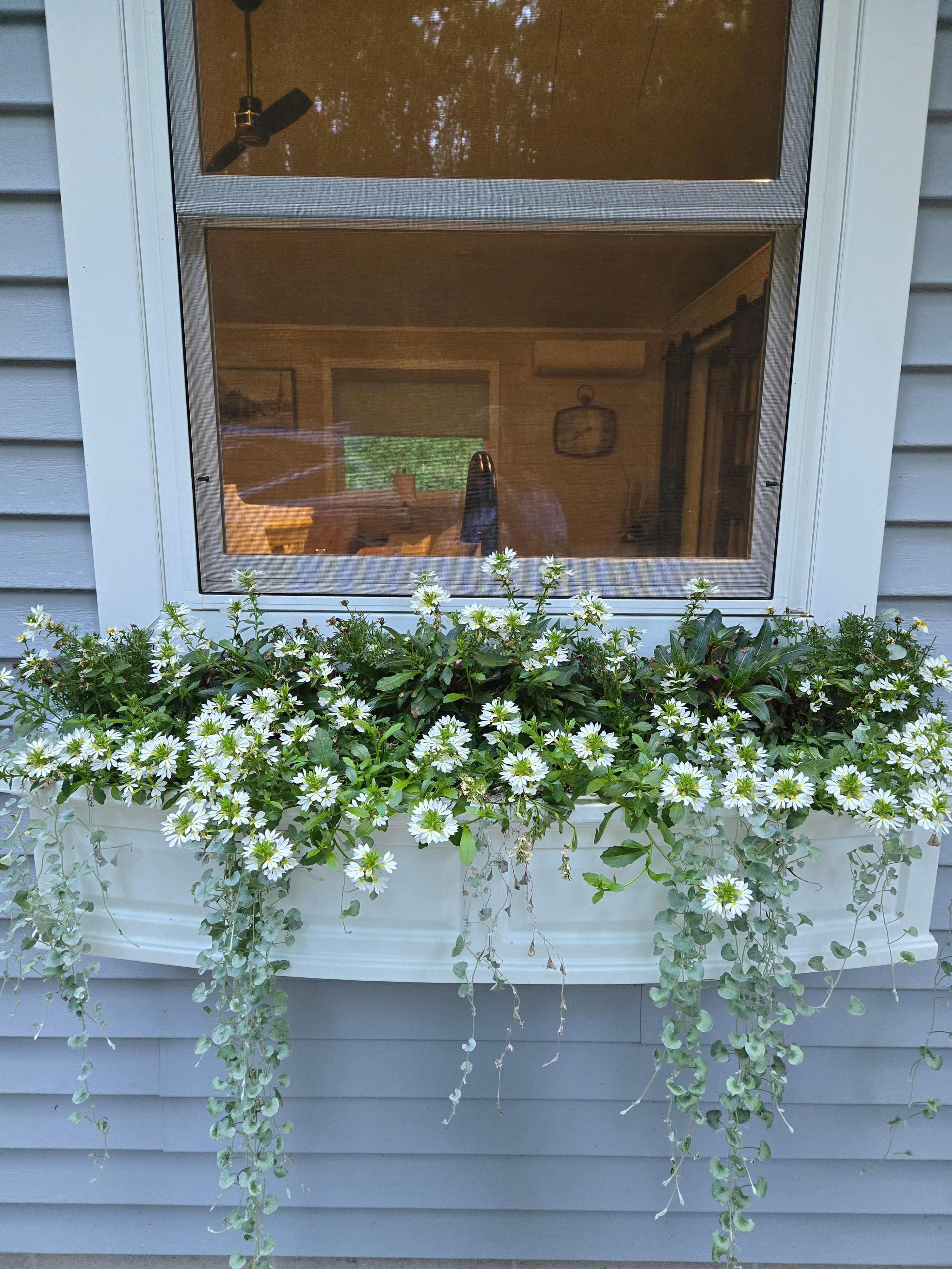 Real flowers