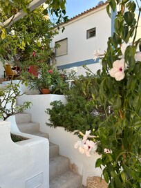 House with garden