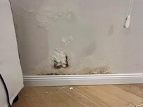 horrible mold and smell