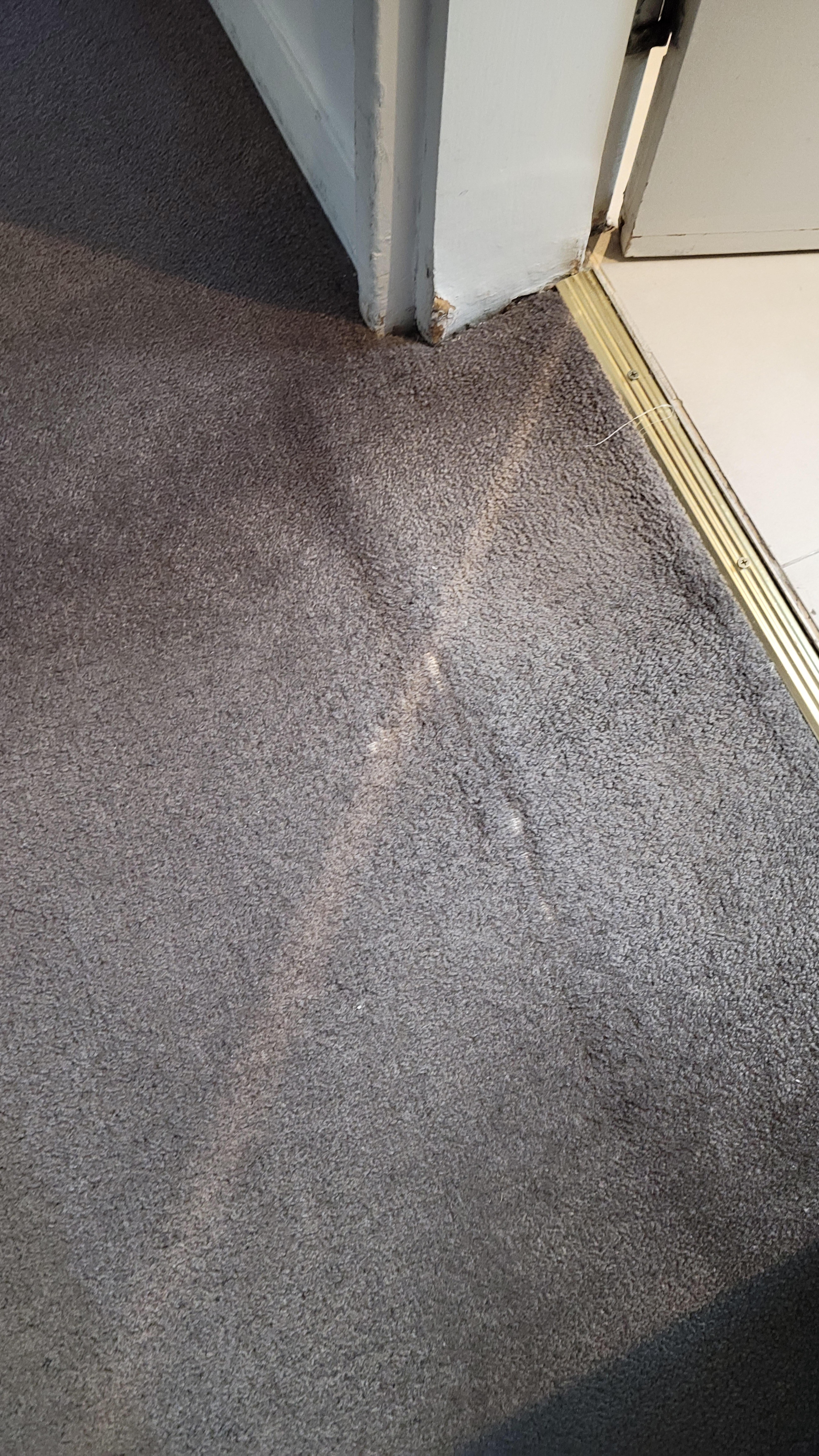 Ripped and worn out  carpet