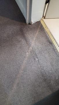 Ripped and worn out carpet