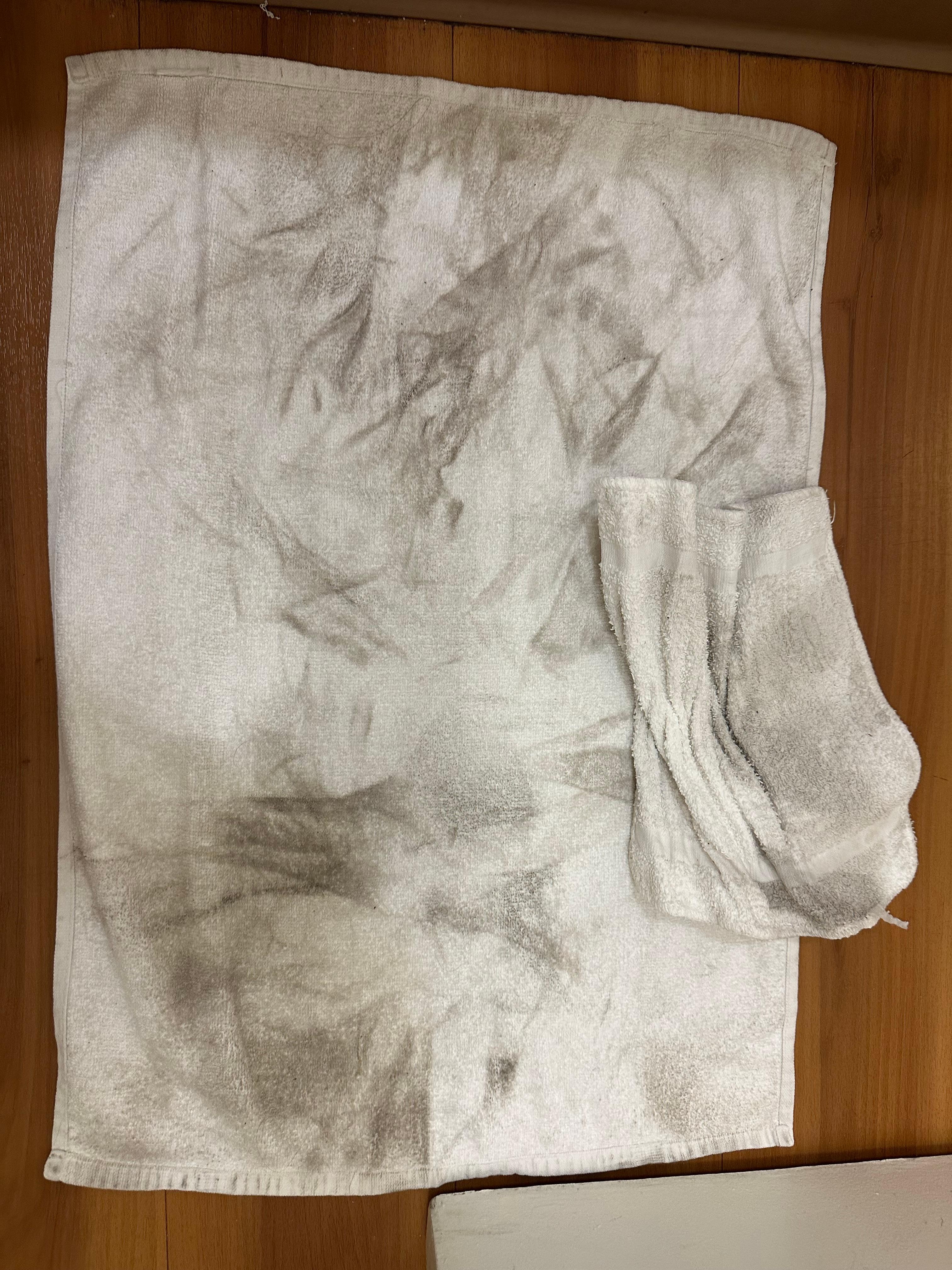 The towels that I used to clean the floors when I came in, absolutely filthy