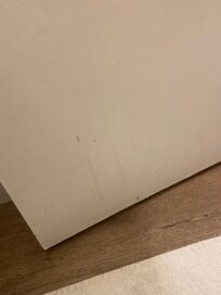 FILTHY floors, baseboards, doors, light switches etc. nothing has been wiped down in months. Likely since renovation.