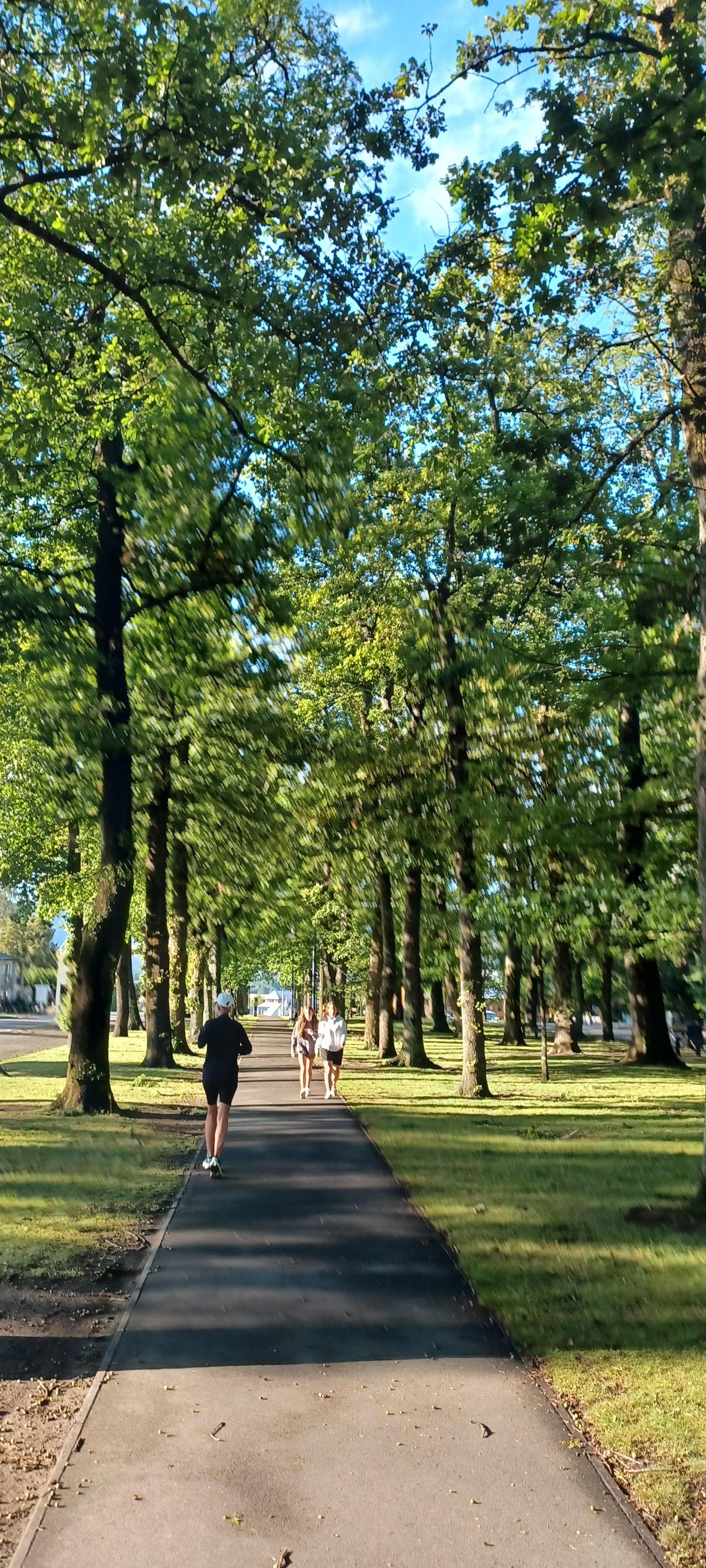 Park in the town centre.