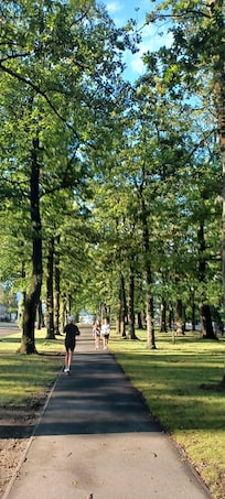 Park in the town centre.