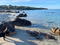 4 min walk from accommodation doesn’t get any better