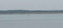 Canyon Lake