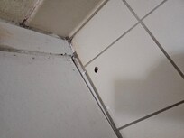 Killed a cockroach
