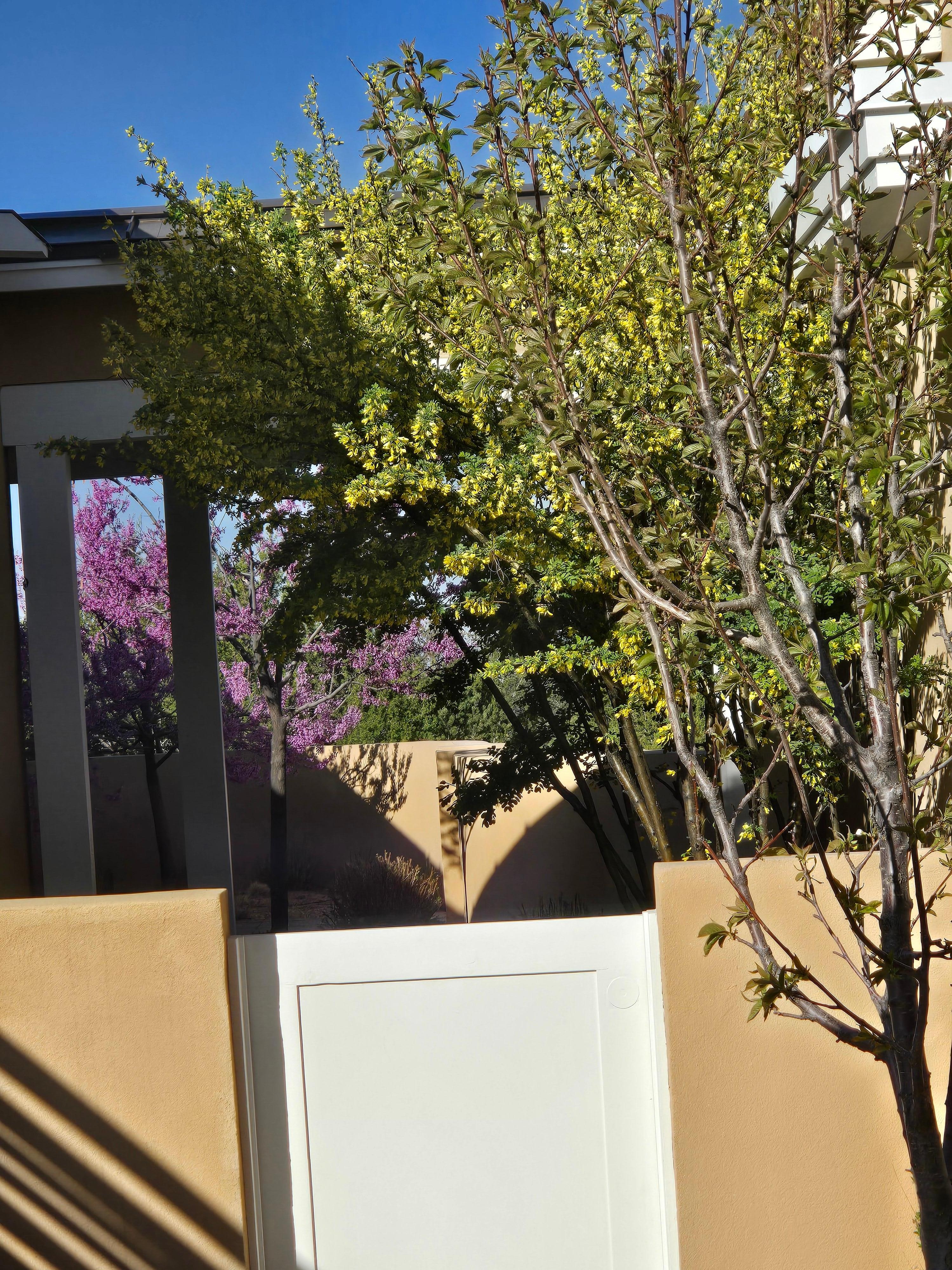 View looking out the front door.