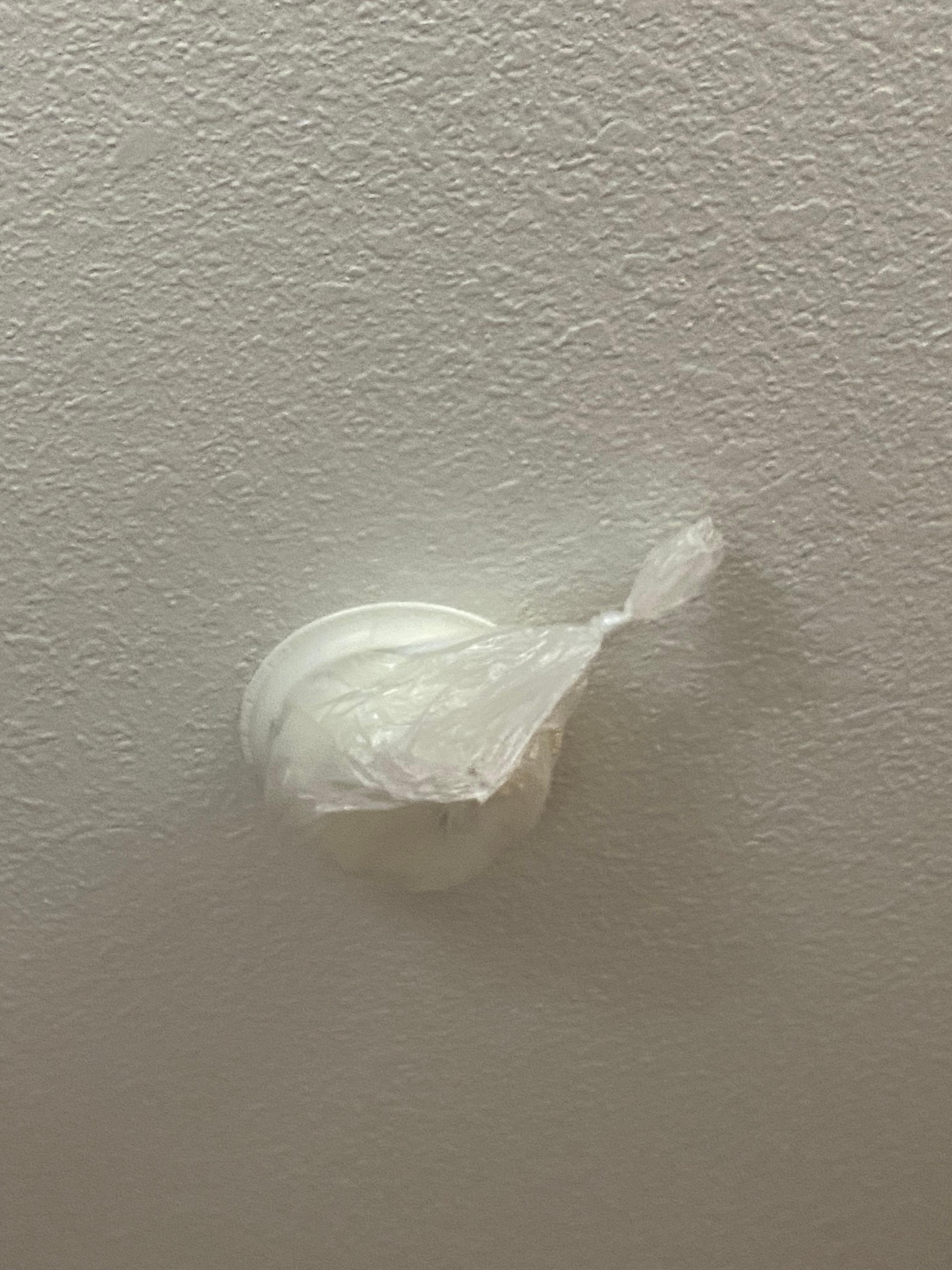 Baggy on smoke detector