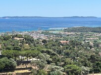 Bormes les mimosas