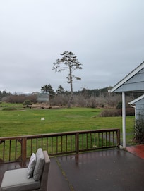The view out the back of the living room to the golf course. There is a bald eagle sitting at the top of the tree.