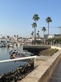 Photo of the marina
