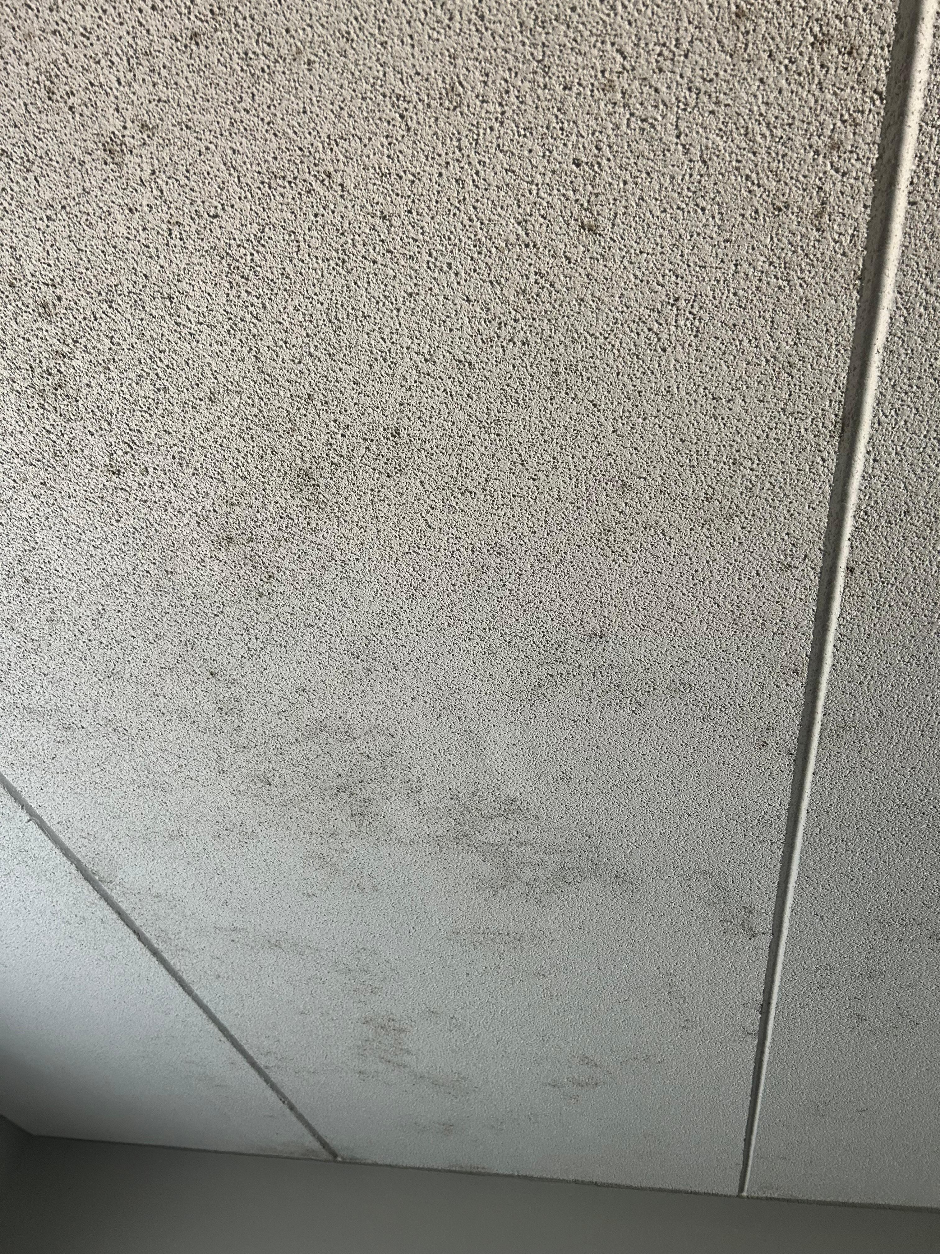 Moldy ceiling 